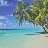 پارتنر ورزشی یا کاری