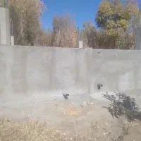 فروش باغ ۱۱۰۰متری روستای ینگجه|فروش زمین و ملک کلنگی|زنجان, |دیوار