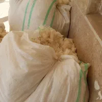 توافقی. پنه  هست