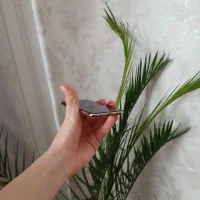 آیفون xs طلایی|موبایل|آشخانه, |دیوار