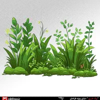 کاکتوس و گل