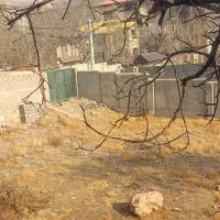 زمین-کوشک-زر-داخل-بافت