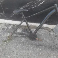 تنه دوچرخه
