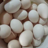 تخم مرغ خومونی اصل