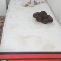 تخت خواب وتشک