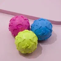 فروش انواع ملزومات و غذای پت|لوازم جانبی حیوانات|کرج, فاز ۲ مهرشهر|دیوار