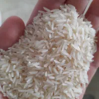 برنج طارم هاشمی فجر سوزنی|خوردنی و آشامیدنی|سبزوار, هویزه|دیوار