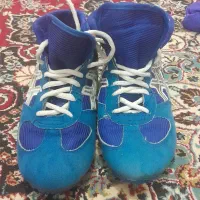 دونده و کفش کشتی|تجهیزات ورزشی|اسفرورین, |دیوار