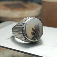 انگشتر شجر نقره|جواهرات|مراغه, |دیوار