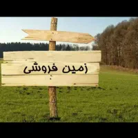 زمین کشاورزی