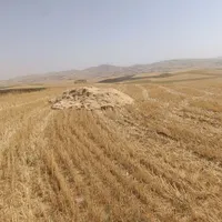 کاه گندم کمباین
