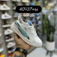 پوما سایز 37تا40مستقیم از تولید کننده عمده|کیف، کفش، کمربند|گلستان (تهران), |دیوار