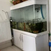 آکواریوم کامل شرکتی|ماهی|شیراز, شریف‌آباد|دیوار