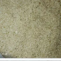 برنج تارم هاشمی تازه برداشت بهترین پخت با ماش ریز|حراج|دهدشت, |دیوار