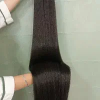 کش دم اسبی