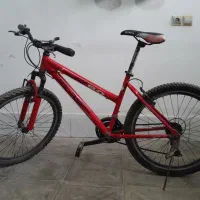 دوچرخه دنده ای فلش|دوچرخه، اسکیت، اسکوتر|نوشهر, |دیوار