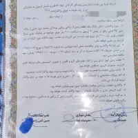 پلاک-35-بنفشه-درق