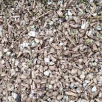 فروش انواع تفاله چغندر