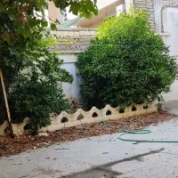 فروش ومعاوضه ویلایی قابل سکونت/بازسازی شده/گلشن|فروش زمین و ملک کلنگی|شیراز, گلشن|دیوار