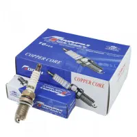 شستشوی رادیاتور بخاری|قطعات یدکی و لوازم جانبی|شاهین‌شهر, گزبرخوار|دیوار