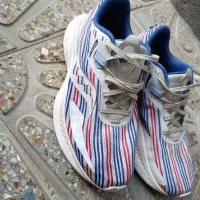 کفش ساکونی اصل