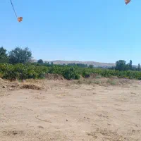 نیازمند چهار نفر
