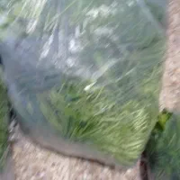 سبزی خورشتی فروش