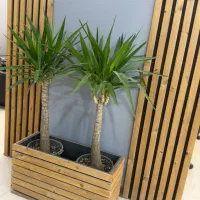 استخدام در سالن زیبایی تمامی لاین ها