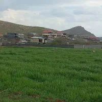 زمین|فروش زمین و ملک کلنگی|کرمانشاه, |دیوار