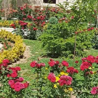 زمین باغی در اخلمد ۱۰۰۰ متر