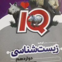 نشرالگو‌وپینیکیو