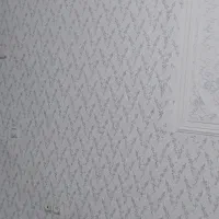 نقاشی ساختمان وطرح کاغذدیواری|خدمات پیشه و مهارت|خرم‌آباد, |دیوار