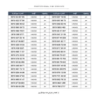 سیمکارت ۰۹۱۹ رند اقتصادی ۹۱۹/0919/919