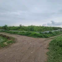 باغ-1000-متری-دونبش-مالکم