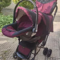 کالسکه و کریر دلیجان|کالسکه و لوازم جانبی|ساری, |دیوار