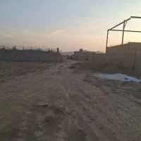 زمین باغی گاوخانه