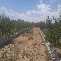کود اوره سفید