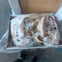 سیرابی پاک شده