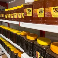 فروش عسل و کلیه لوازم زنبور داری