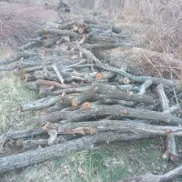 خرید چوب گردم