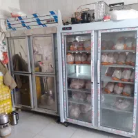 استخدام کارگر ماهر و نیمه ماهر در تیکه کردن مرغ