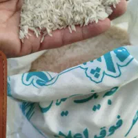 برنج هاشمی درجه یک گیلان|خوردنی و آشامیدنی|شهریار, شهریار|دیوار