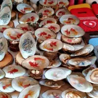 صدف|صنایع دستی و سایر لوازم تزئینی|بندر انزلی, معلم|دیوار