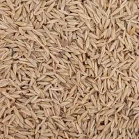 جو ابی|خدمات باغبانی و درختکاری|آباده, |دیوار