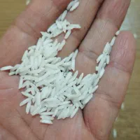 برنج شیرودی (سورتینگ شده)|خوردنی و آشامیدنی|رشت, یخسازی|دیوار