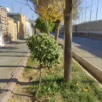 منزل دوخوابه