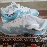 کتونی نایک|کیف، کفش، کمربند|مهاجران, |دیوار