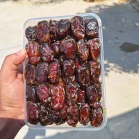 خرما|خوردنی و آشامیدنی|وحدتیه, |دیوار