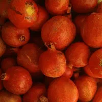 انار درجه یک