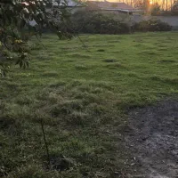 ۲۲۰ متر زمین مسکونی با نامه تاییدیه بنیاد مسکن|فروش زمین و ملک کلنگی|کوچصفهان, |دیوار